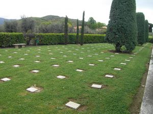 4550165125_e738cc5486