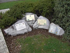 4550790936_b5c83da5f3