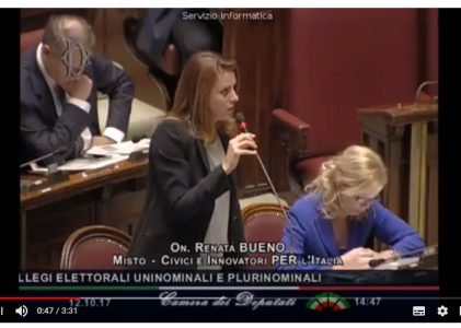 Intervenção da deputada Renata Bueno sobre a lei eleitoral