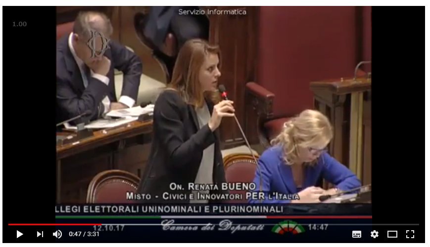 Intervenção da deputada Renata Bueno sobre a lei eleitoral