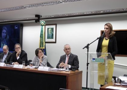 Parlamentares do Brasil e da Itália discutem Relações Econômicas, Sociais e Culturais